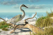 A White Egret Stands Among Some Grassy Dunes Next A Piece Of Driftwood On A Sunny Beach With Crashing Waves. 3D Illustration