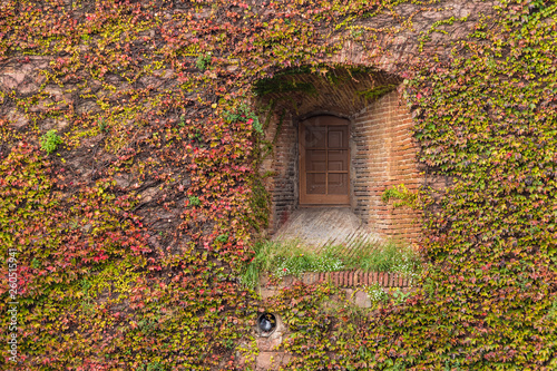 Fotografía A window on the facade of the Montjuic Castle overgrown with ivies in autumn day