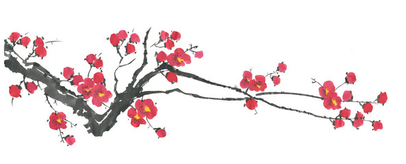 A branch of a blossoming sakura. Pink and red stylized flowers of plum mei and  wild cherry . Watercolor and ink illustration of tree in style sumi-e, go-hua,  u-sin. Oriental traditional painting. .