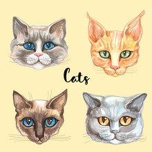 Faces Of Cats Of Different Breeds. Set. Vector. Watercolor