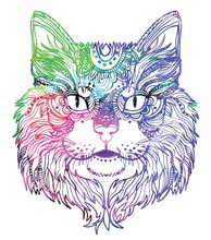 The Head Of A Cat. Fluffy Kitten. Drawing Manually In Vintage Style. Meditative Coloring. Coloring For Children. 