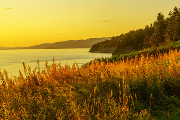 Wall Mural - Sunset in Forillon National Park