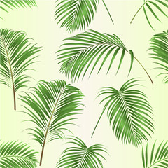  Bezszwowa tekstury palma opuszcza dekoraci tropikalnej rośliny na tropikalnego tło rocznika wektorowej ilustracyjnej editable ręce rysującej