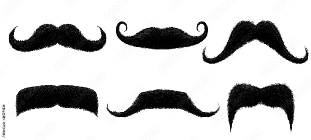 Vintage moustache. Funny retro mustache, fake mustaches and isolated curly hair moustaches vector illustration - obrazy, fototapety, plakaty 