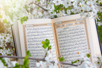 The Holy Quran