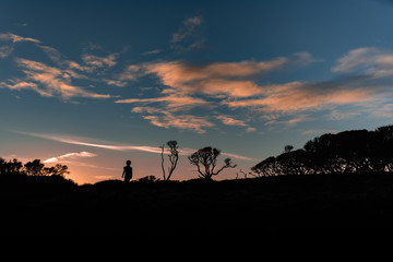 Silhouette of trees and child at sunset