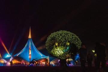 Canvas Print - Neon lights at an event at night