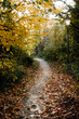 Autumn Path, Narnia
