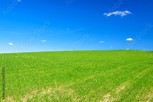 spring rural landscape with field