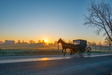 Amish Horse And Buggy At Dawn With Sun Rising On Horizon