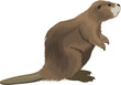 vector beaver illustration