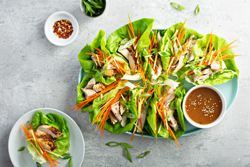 Wall Mural - Asian inspired grilled chicken carrot and ginger lettuce wraps