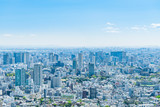 春の東京風景 Tokyo city skyline , Japan