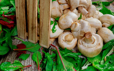 Wall Mural - Champignon mushrooms, on a fresh salad leaves background