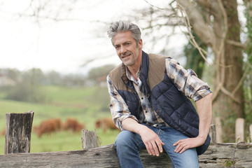 Farmer leaning on fence in field looking out