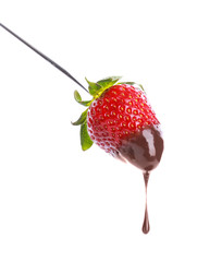 Fondue stick with chocolate covered strawberry on white background