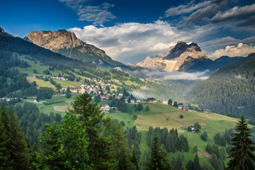 landscape forest in trentino with dolomiti mountain