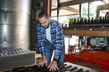 Wall Mural - young man wine maker working filling wine bottle with automatic bottling machine