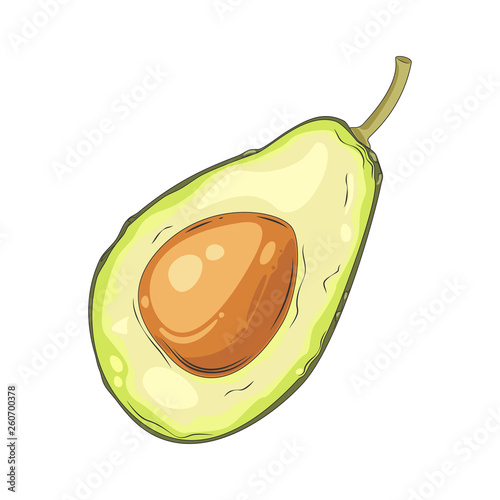 Avocado Fruit Cut In Half Drawn By Hand Ripe Avocado In A Cut Vector Illustration Buy This Stock Vector And Explore Similar Vectors At Adobe Stock Adobe Stock Avocado Fruit Cut In Half Drawn By Hand Ripe Avocado In A Cut Vector Illustration Buy This Stock Vector And Explore Similar Vectors At Adobe Stock Adobe Stock