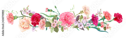 Panoramic view: bouquet of carnation schabaud, spring blossom. Horizontal bor...