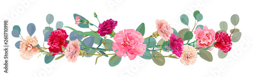 Panoramic view of carnation schabaud: pink, white, red flowers, leaves eucaly...