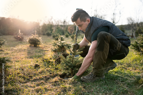 Fotografía Young man plant a small tree in the garden