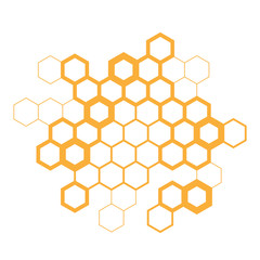 Wall Mural - Hexagon / Honeycombs