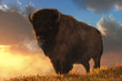 An American buffalo stands on a grassy hill.  Behind the massive fur covered bison, the sun sits low on the horizon. 3D Rendering