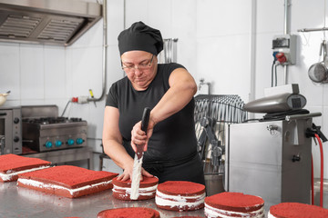 Wall Mural - Woman pastry chef smiling and working happy, making cakes at the pastry shop .