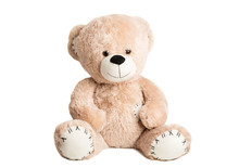 Soft Bear Toy Isolated