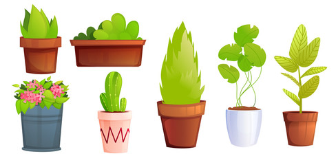 Landscape garden potted plants with pink flowers and cactus. Vector cartoon illustration 