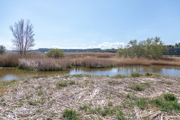 Wall Mural - Paisajes de la ribera del rio ebro en flix - Ribera d'ebre - Tarragona