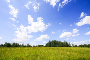 Summertime in countryside in Latvia, East Europe. Green field, forest and blue sky with clouds in sunny summer day.