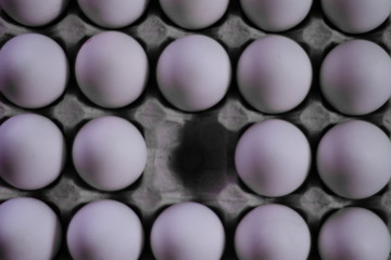 White chicken eggs are photographed from above