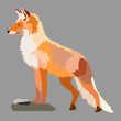 Vector of an orange fox (Vulpes Vulpes) with white fur on her chest, shaped from polygons, with tiny pointy hairs on her back, chest and tail, standing up and looking forward, seen from the side.