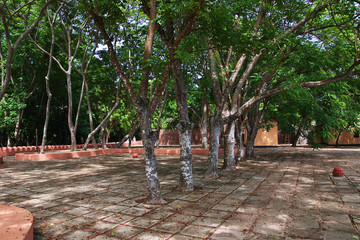 Wall Mural - Prison Island, Stone Town, Zanzibar, Tanzania