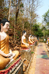 Row of orange Buddha statue, Sambok Pagoda