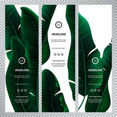 Leinwandbilder - Vertical Banners with Tropical Palm Leaves. Vector Green Banana Leaves on White Background. Exotic Jungle Wallpaper