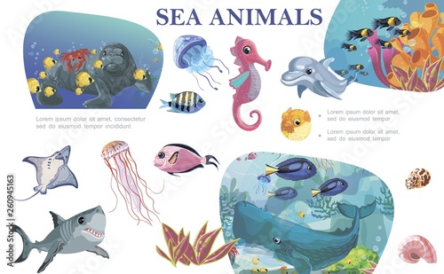 Colorful Sea Life Concept