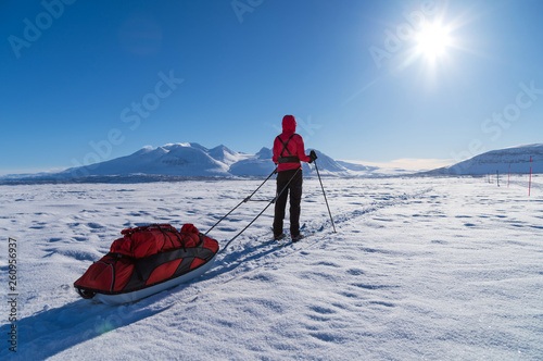 Fotomural Female cross country skier with sled (pulka) on a lake enjoying the view at the Ahkka mountain