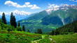 © dzmitrock87 - Alpine green valley landscape. Summer day in Alps