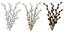 Set With Bouquet Of Outline Willow Twigs In Pastel And Black Isolated On White Background. 