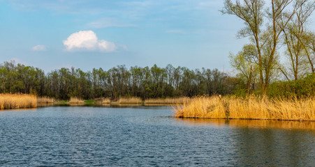  Ponds in Wola Rusiecka near Krakow