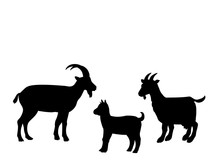 Goat Goatling Farm Mammal Black Silhouette Animal. Vector Illustrator.