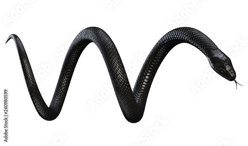 Fotomural Black Snake isolated on White Background. 3D illustration