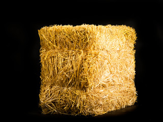 Wall Mural - yellow dry barley straw