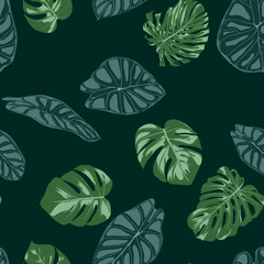  Vector Tropic Seamless Pattern. Philodendron and Alocasia Leaves. Hand Drawn Jungle Foliage in Watercolor Style. Exotic Background. Seamless Tropic Leaf for Textile, Cloth, Fabric, Decoration, Paper.