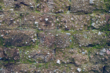 Wall Mural - Very old Brick wall with moss and plant, wall texture