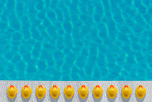 Yellow Rubber Ducks Near To The Pool. Summer Minimal Concept.