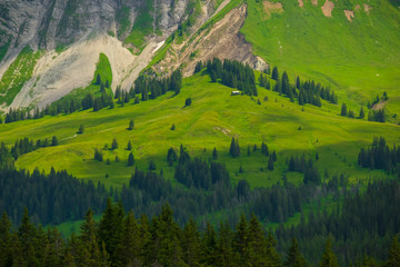 Wall Mural - Summer time landscape in Switzerland